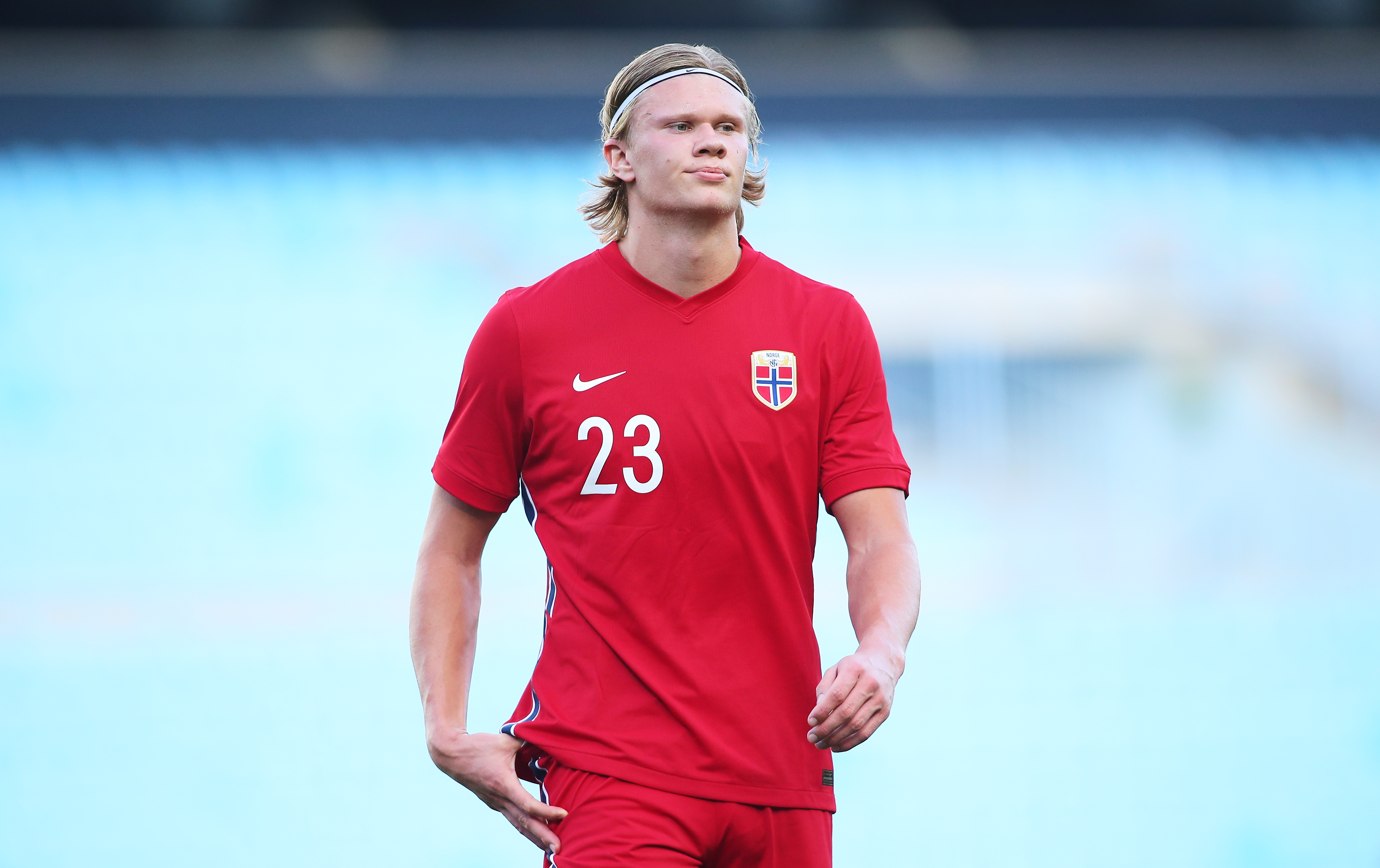 草与中路支 草与中路支